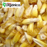 Organic Chullpi Corn 